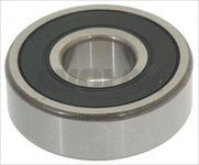 LAGER 6201 DDU NSK