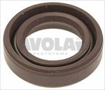 DICHTUNGSRING AUS FKM