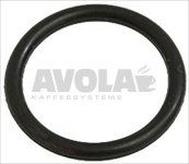Dichtung ORM 0160-20 EPDM
