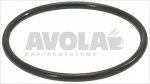 O-RING FKM Dichtung 03156