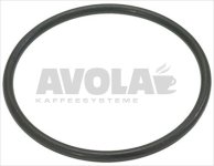 O-Ring Dichtung 0161 EPDM