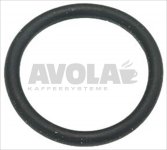 O-Ring Dichtung 03081 EPDM
