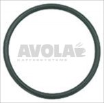 O-RING Dichtung 02093 EPDM