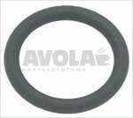 O-Ring Dichtung 0119 EPDM