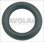 O-RING-Dichtung 106 FKM