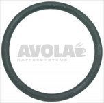 O-RING Dichtung 06212 EPDM