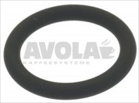 O-Ring Dichtung 0119 FKM