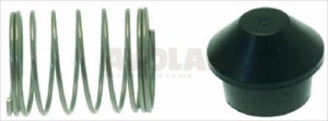 FEDER ø 6x8 mm MIT DICHTUNG