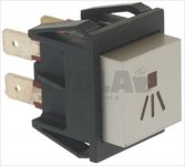 ZWEIPOLIGER SCHALTER GRAU 16A 250V (nicht mehr lieferbar)