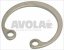 seegerring j 20
