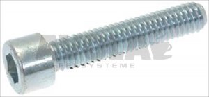 Schraube T.C.C.E.I.M6x30UNI5931