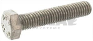 Schraube aus Inox Stahl M5x25