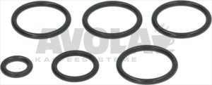 O-RING SORTIMENT AUTOTROL 255/440i