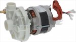 ELEKTROPUMPE FIR 3981SX 0,50HP 230V 50Hz