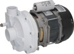 ELEKTROPUMPE LGB ZF340VSX 1HP 240V 50Hz