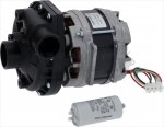 ELEKTROPUMPE AP 2031SX 1HP 230V 50Hz