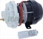 ELEKTROPUMPE FIR 2256VSX 1HP 230V 50Hz