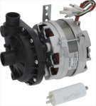 ELEKTROPUMPE AP 1010 0,25HP