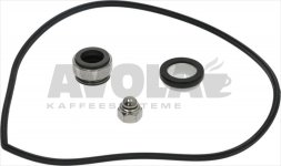 REPARATURKIT FÜR ELEKTROPUMPE FIR 2204