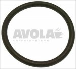 O-RING FKMDICHTUNG 06212
