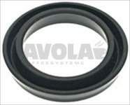 LIPPENDICHTUNG DEM32 EPDM