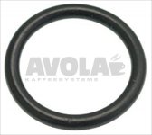 O-Ring Dichtung 0123 EPDM