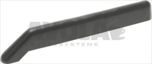 LEITSCHIENE