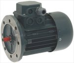 MOTOR 63m-4/2 0,25HP 400/460V