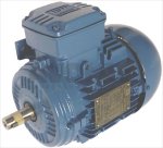 MOTOR WEG AL80-04 DREIPHASIG