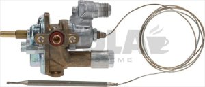 THERMOSTATHAHN COPRECI