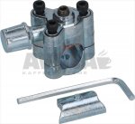 HAHN MIT ZAPFENLOCH BPV21