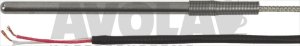 TEMPERATURFÜHLER