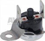 ANLEGETHERMOSTAT 100°C