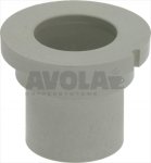 BUCHSE OBERE WASCHACHSE