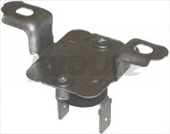 SICHERHEITSTHERMOSTAT