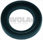 LIPPENDICHTUNG 28x17x6 mm