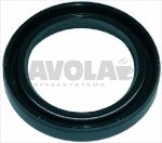 LIPPENDICHTUNG 45x32x7 mm