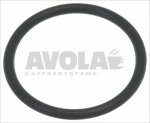 O-RINGDICHTUNG ø 26x22x2 mm - 10 PZ