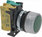 DRUCKTASTE MIT SIGNALLAMPE GRÜN 250V NO