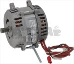 MOTOR P40 230V 50Hz
