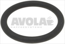 O-Ring OR 06162 FKM