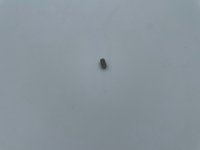 Madenschraube M5x10