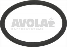 O-Ring Dichtung 0147 FKM