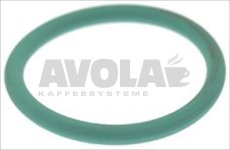 Dichtung OR 02062 FKM grün Ode Magnetventilkollektor