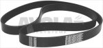 RIEMEN MIKRO V45 7 RILLEN H19 mm