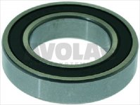 LAGER 6008 DDU NSK