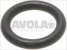 dichtung or r10 epdm