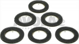 SET 6 SCHEIBEN BÜRSTEERSATZ PAD PL515