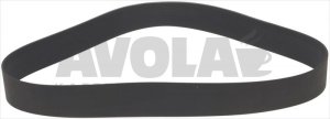 RIEMEN POLY V 1651 J650 30N