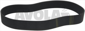 RIEMEN POLY V 1613 L635 16N